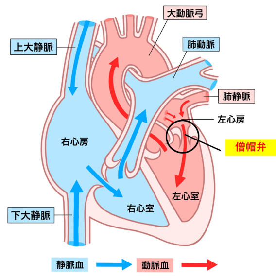 d11274a6bc32624eb4310dfae507dc