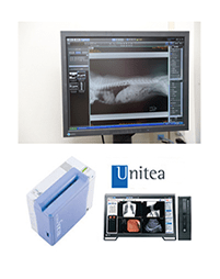 Unitea / REGIUS Unitea / REGIUS